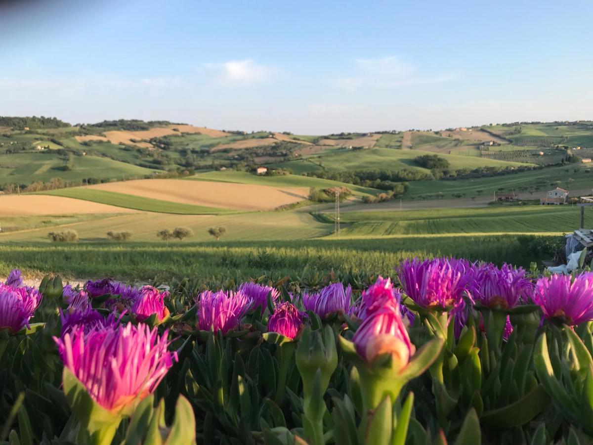La Trave Bed and Breakfast Montecosaro  Exteriör bild