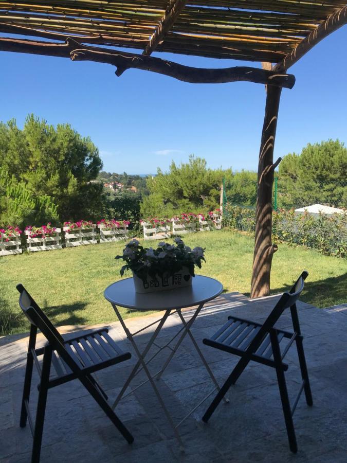 La Trave Bed and Breakfast Montecosaro  Exteriör bild